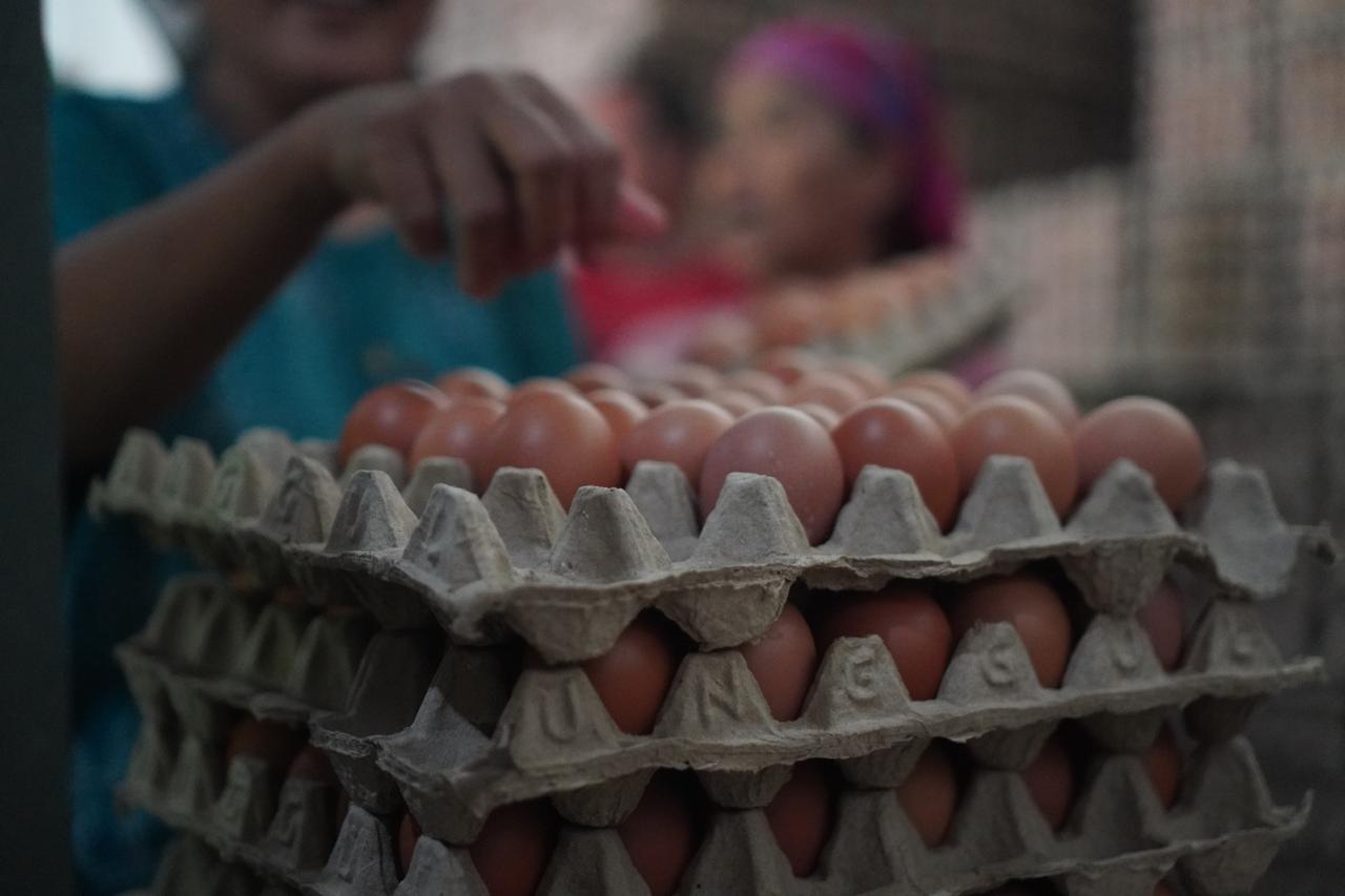 Egg